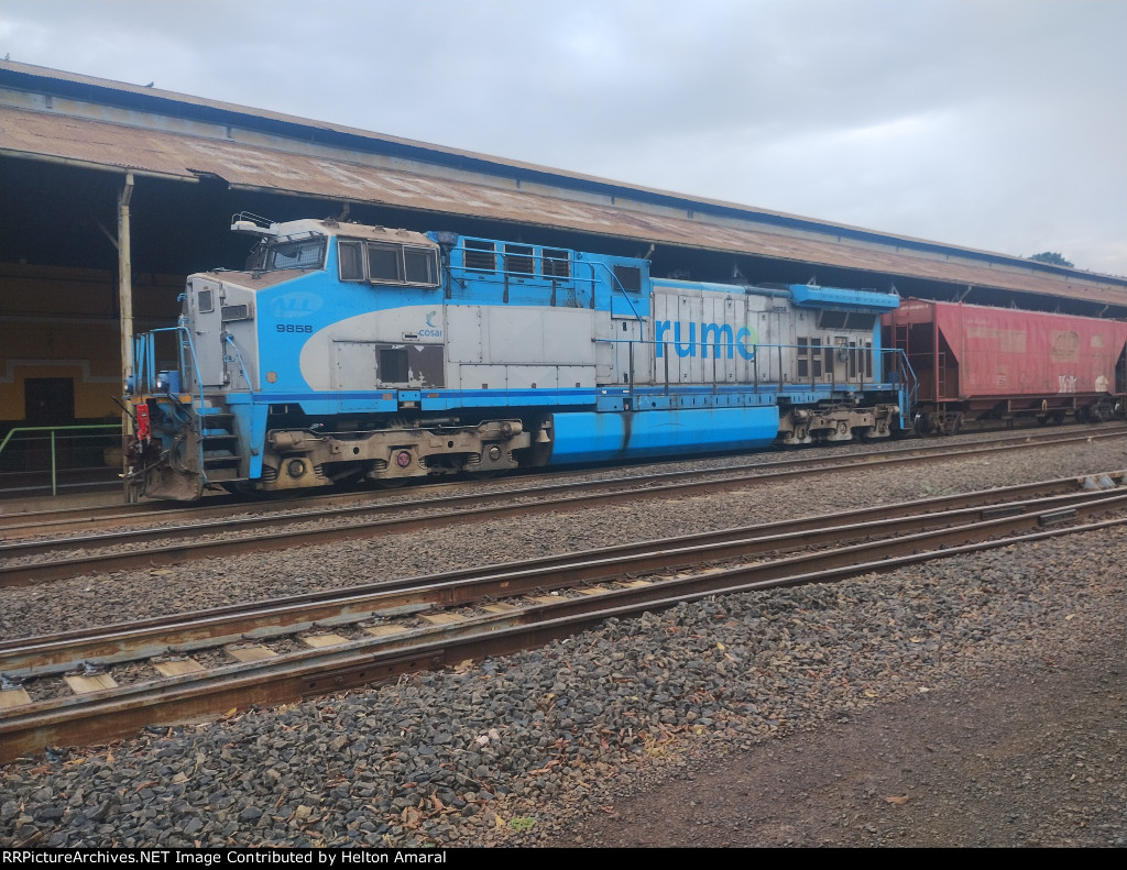 RUMO 9858